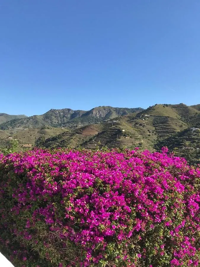 Casa El Olivo Almunecar Homestay